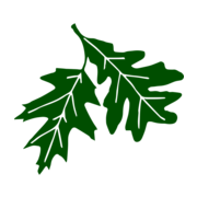 blackoakgolfclub.com logo